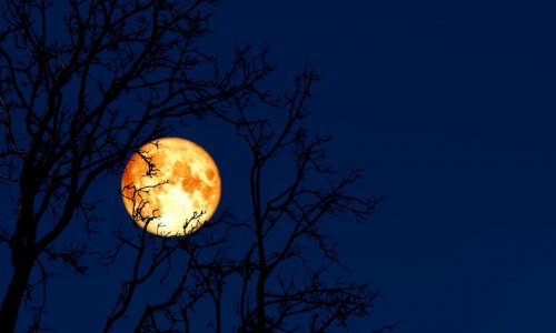 March’s ‘Super Worm Moon’: What and when is it?