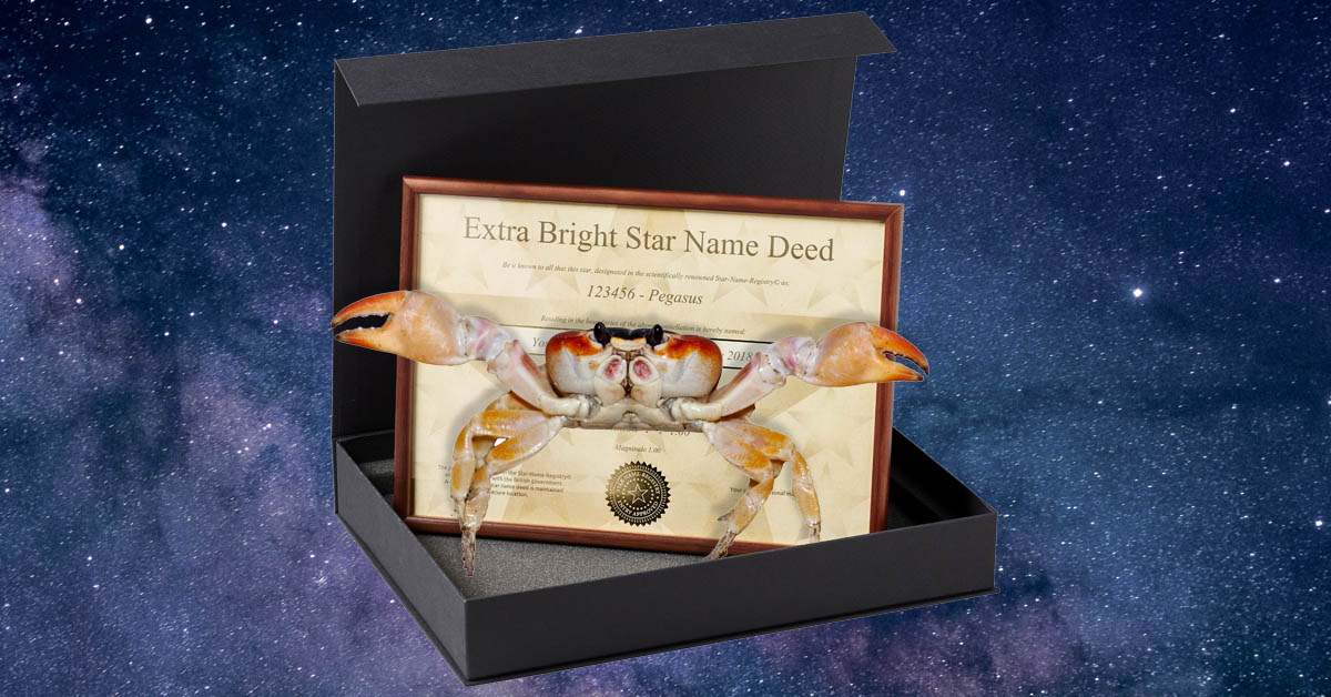 Register a Star. Crab not included
