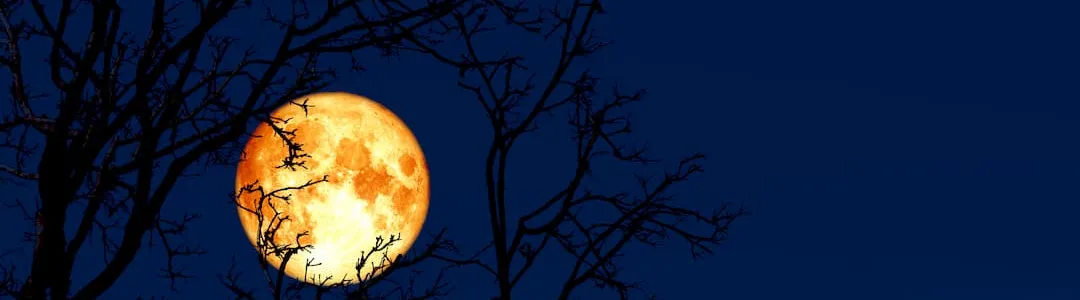 March’s ‘Super Worm Moon’: What and when is it?