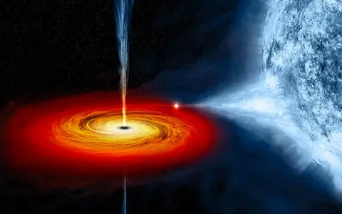 Facts about Black Holes