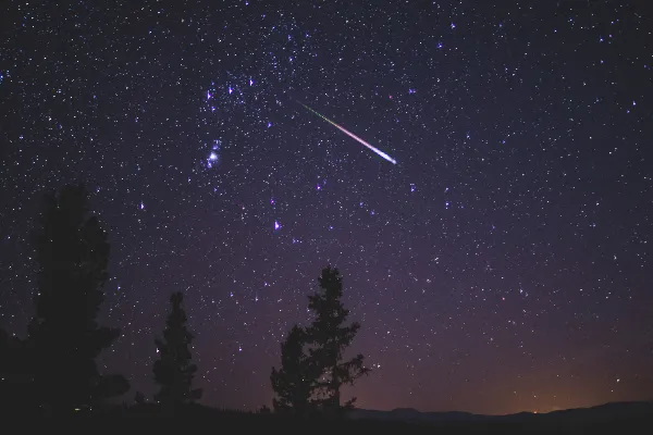 A starry night sky with silhouettes of trees at the bottom of the image. A bright meteor is seen flying through the sky.