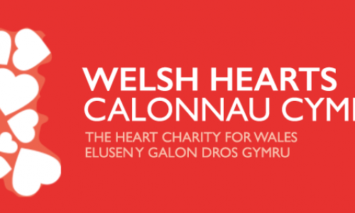 Charity shoutout: Welsh Hearts / Calonnau Cymru