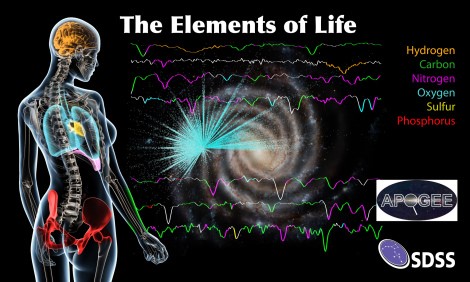 elements-of-life