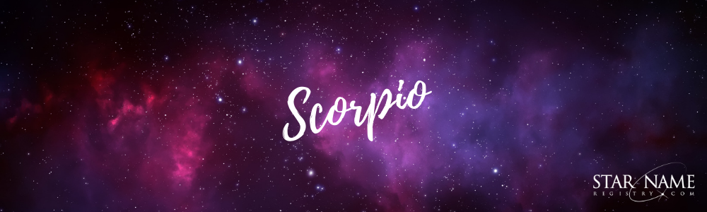 The Original Brief - Astrology Scorpio  Zodiac Star Sign Underwear –  Stripe & Stare USA