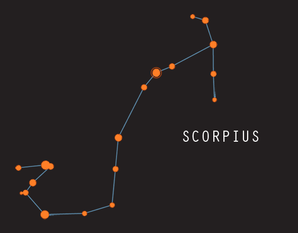 scorpio and orion constellation